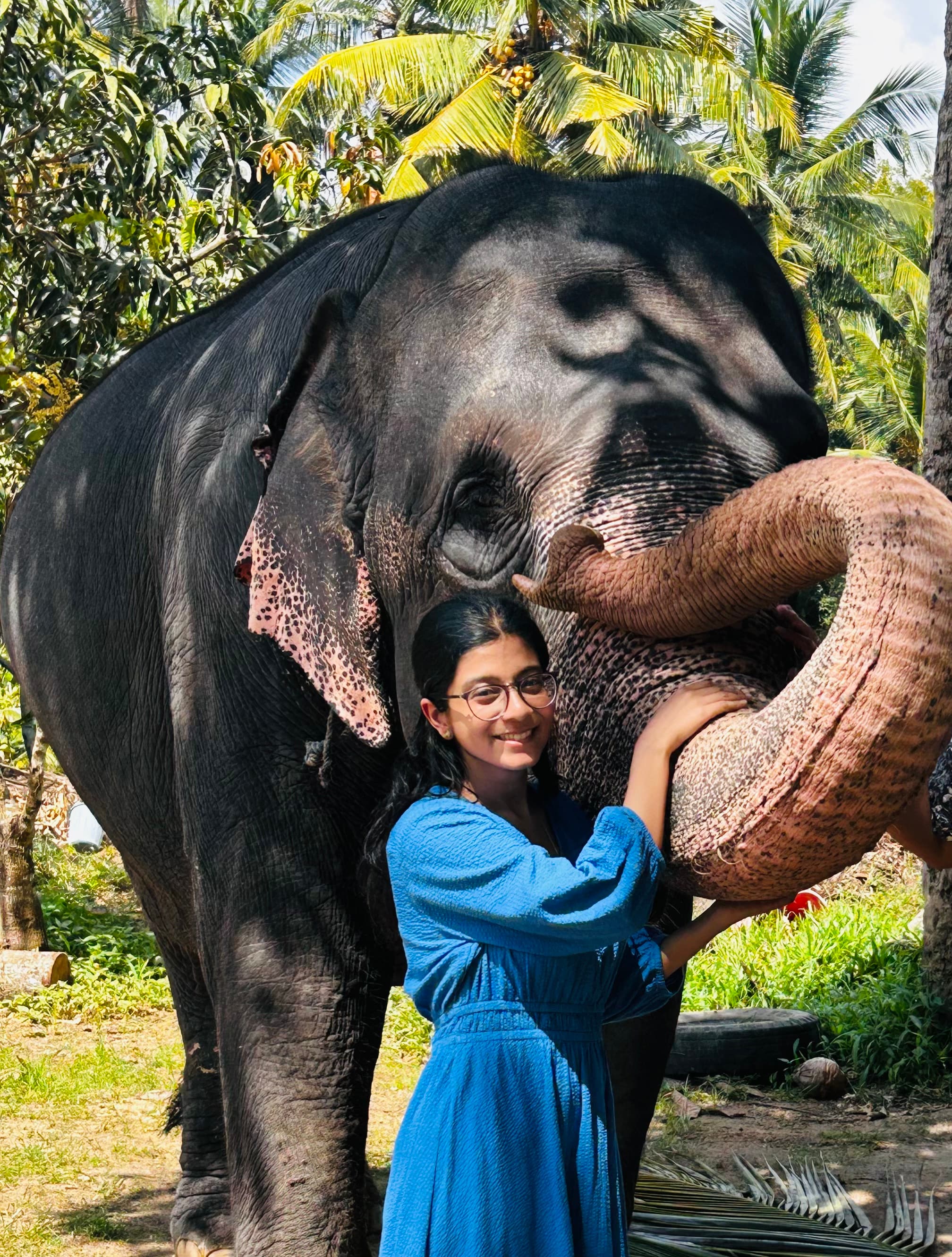 Made friends with Puja the elephant