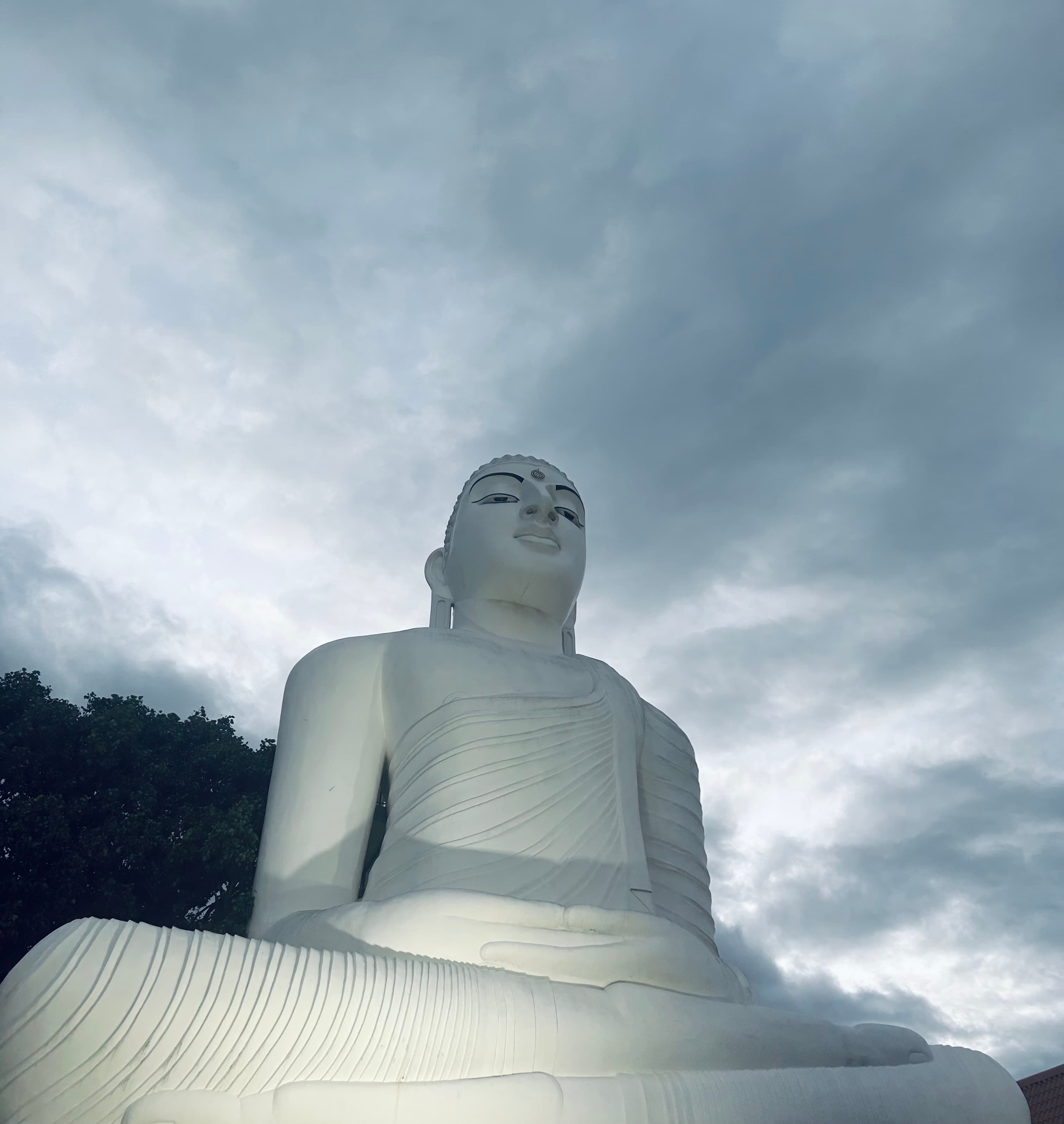 Buddha in the storm