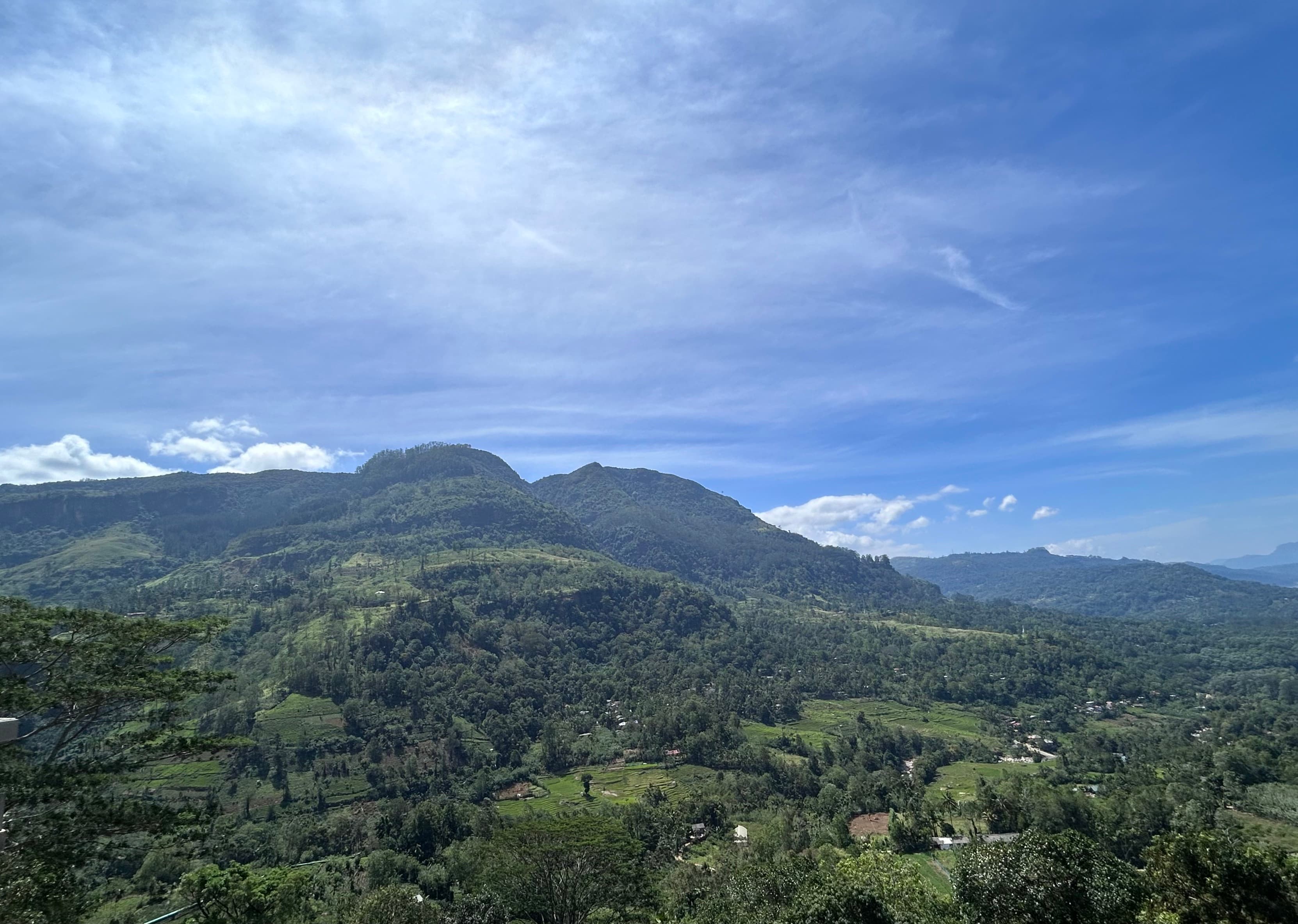 Rolling hills of tea gardens in Ella